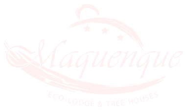 Maquenque Booking