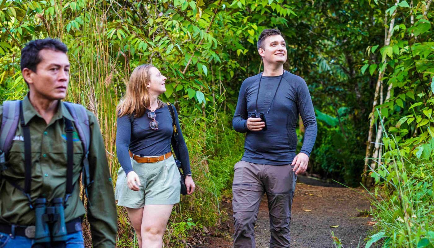 Rainforest Hiking Tour