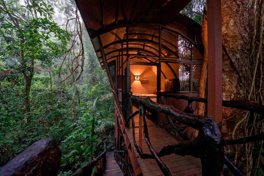 Tree Houses