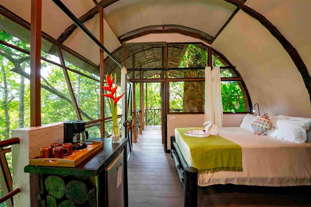 Tree Houses