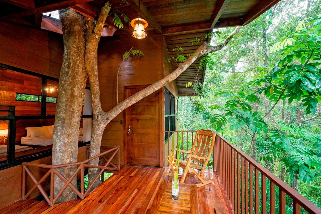 Junior Tree Houses
