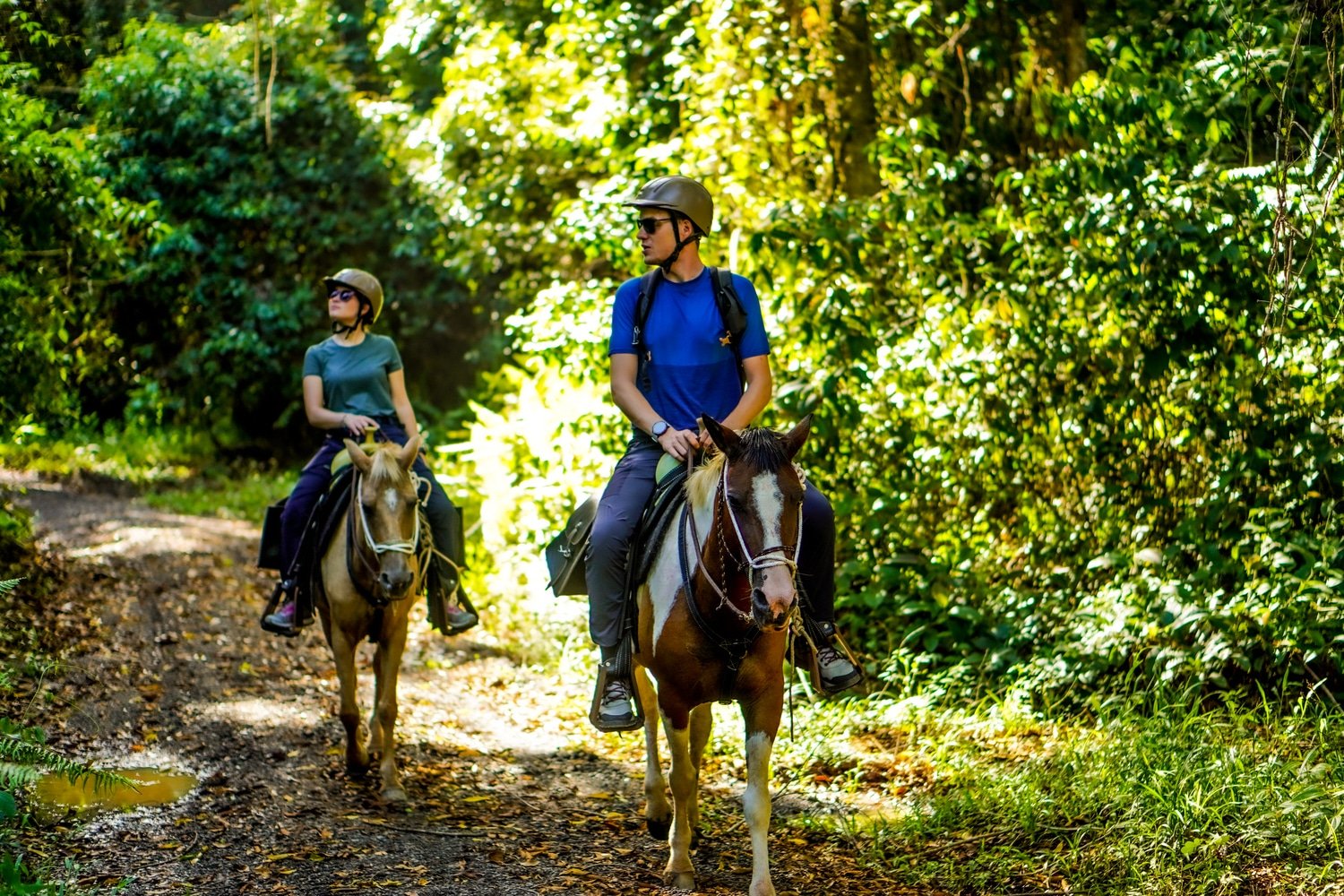 Horseback Riding Tour